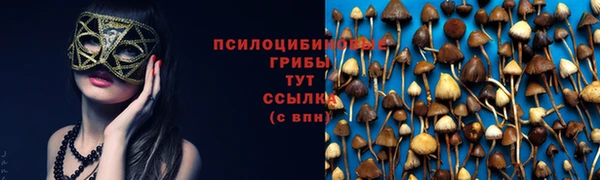 гашик Верхний Тагил