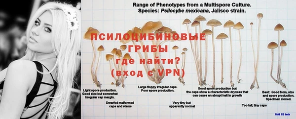 2c-b Бугульма