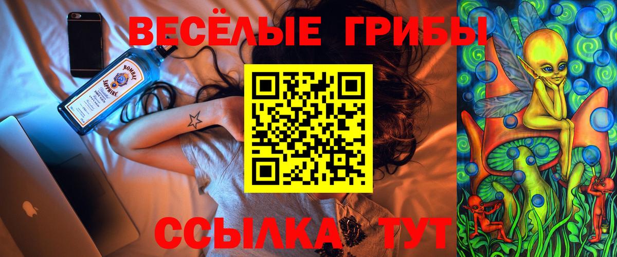 Рузаевка  Галлюциногенные грибы прущие грибы  Вход с VPN 