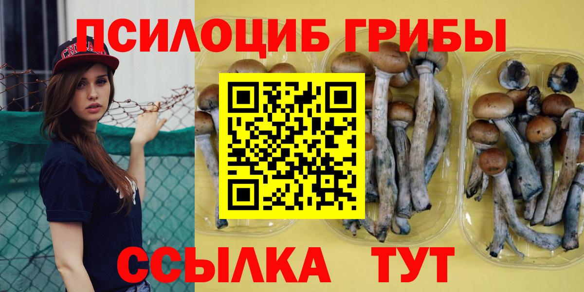 Псилоцибиновые грибы MAGIC MUSHROOMS Рузаевка